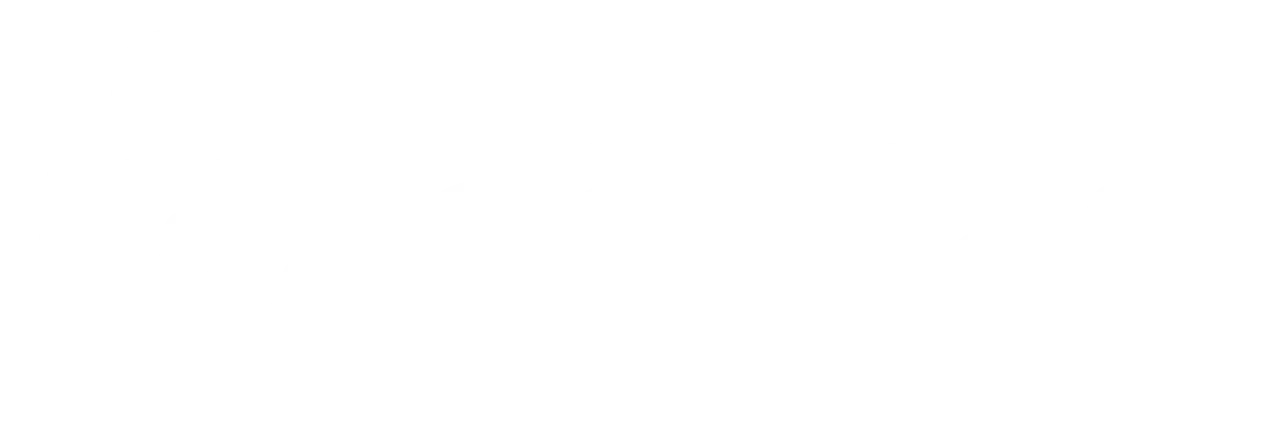 Logo Viintas